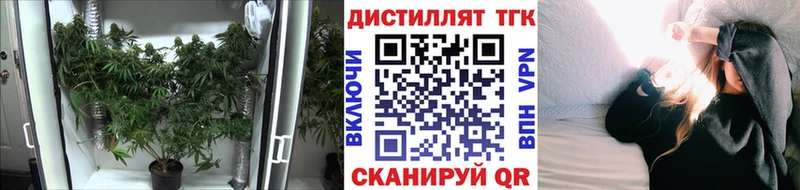 блэк спрут   купить закладку  Шагонар  Дистиллят ТГК THC oil 