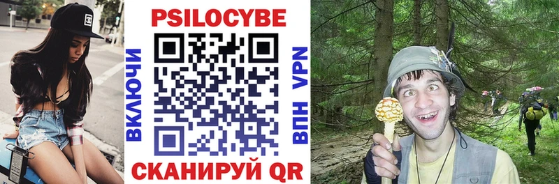 Галлюциногенные грибы Psilocybine cubensis Шагонар